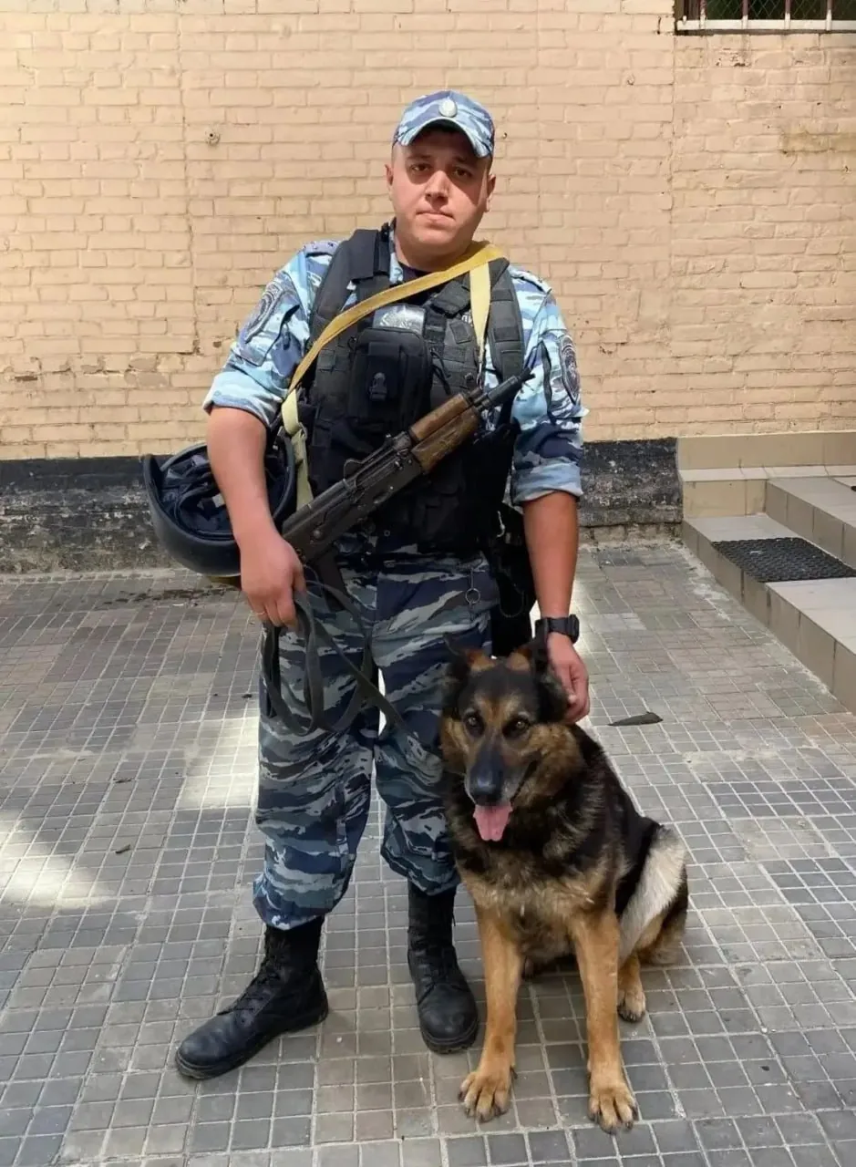 Телёнка за 45 тысяч рублей украли с фермы в Ростовской области — служебная собака помогла полиции найти подозреваемого за несколько часов.