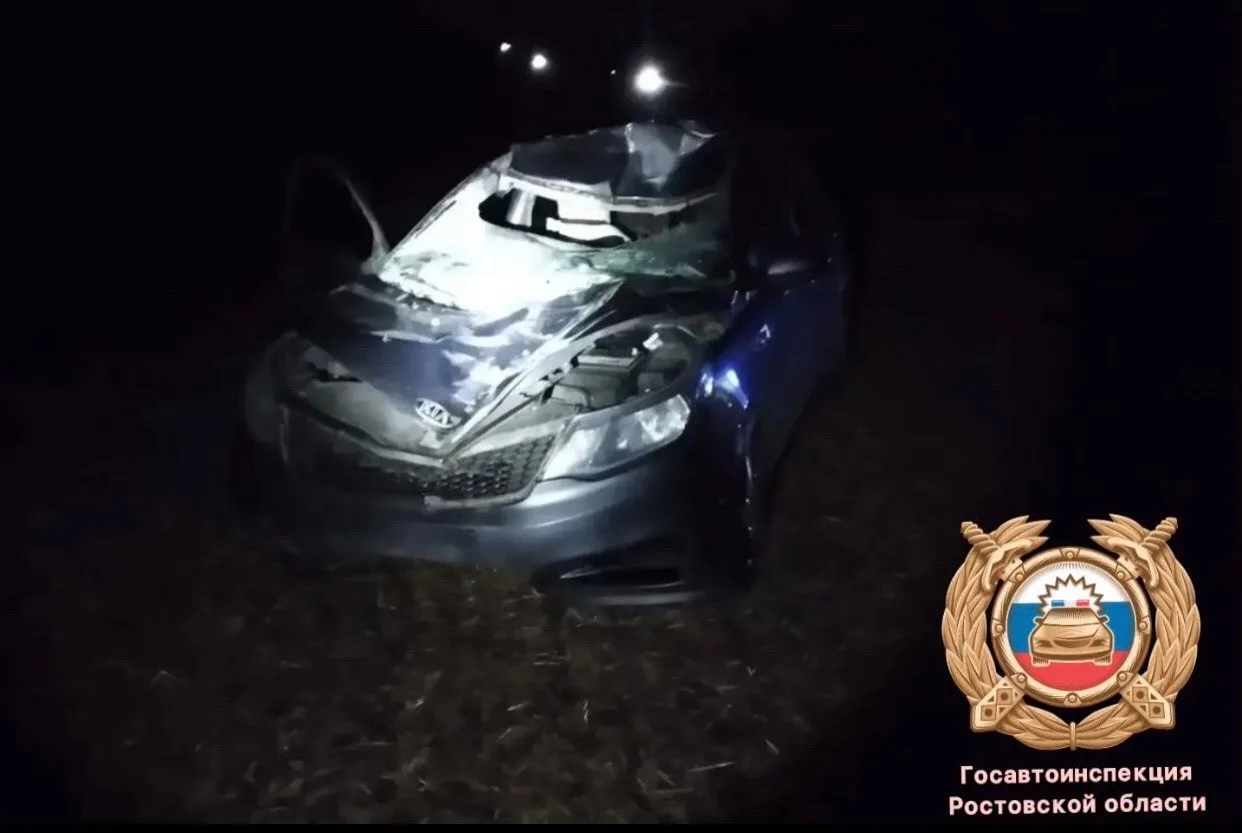 В ДТП с лосем в Миллеровском районе пострадали два человека.