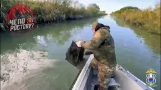 43 раколовки и 300 запрещённых крючьев вытащили из Дона в Азовском районе — полиция оценила предотвращённый ущерб более чем в 100 тысяч рублей.